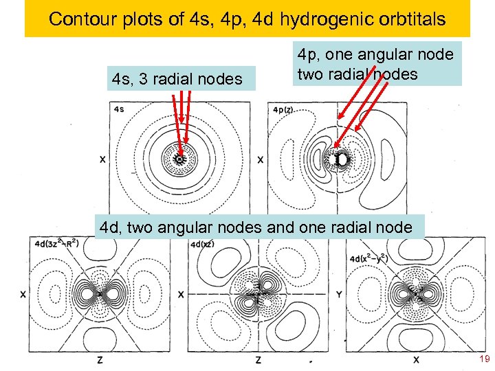 Contour plots of 4 s, 4 p, 4 d hydrogenic orbtitals 4 s, 3