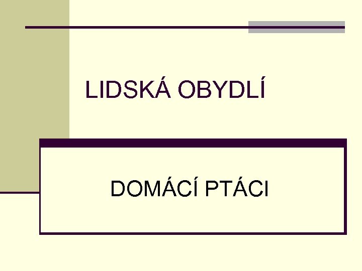 LIDSKÁ OBYDLÍ DOMÁCÍ PTÁCI 