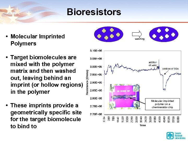 Bioresistors • Molecular Imprinted Polymers washing • Target biomolecules are mixed with the polymer