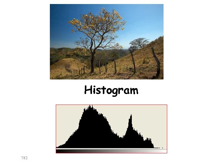 Histogram 782 