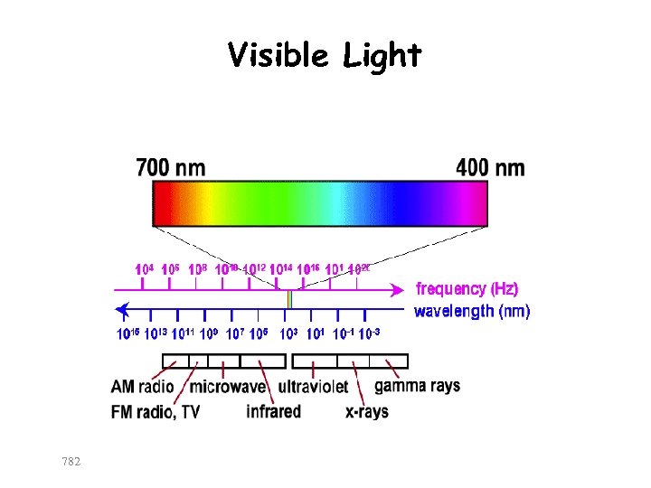 Visible Light 782 