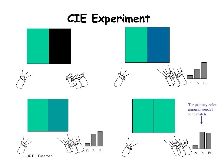 CIE Experiment 782 © Bill Freeman 