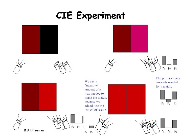 CIE Experiment 782 © Bill Freeman 