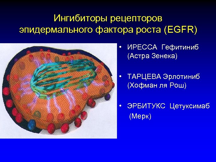 Ингибиторы рецепторов эпидермального фактора роста (EGFR) • ИРЕССА Гефитиниб (Астра Зенека) • ТАРЦЕВА Эрлотиниб
