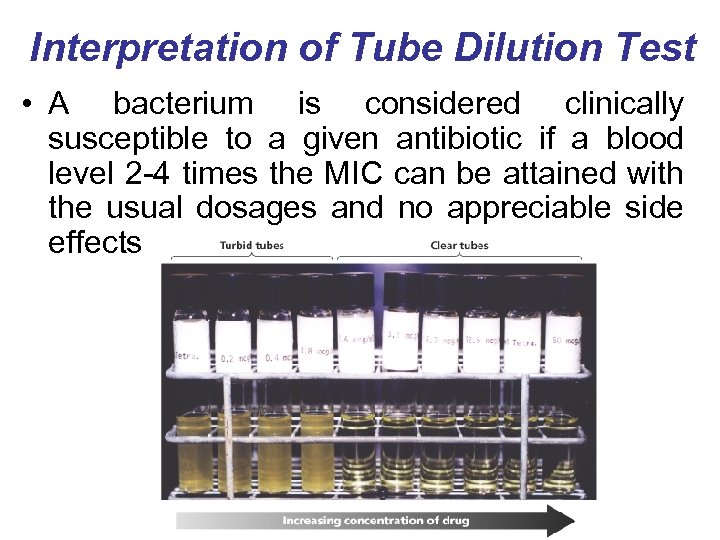 Interpretation of Tube Dilution Test • A bacterium is considered clinically susceptible to a