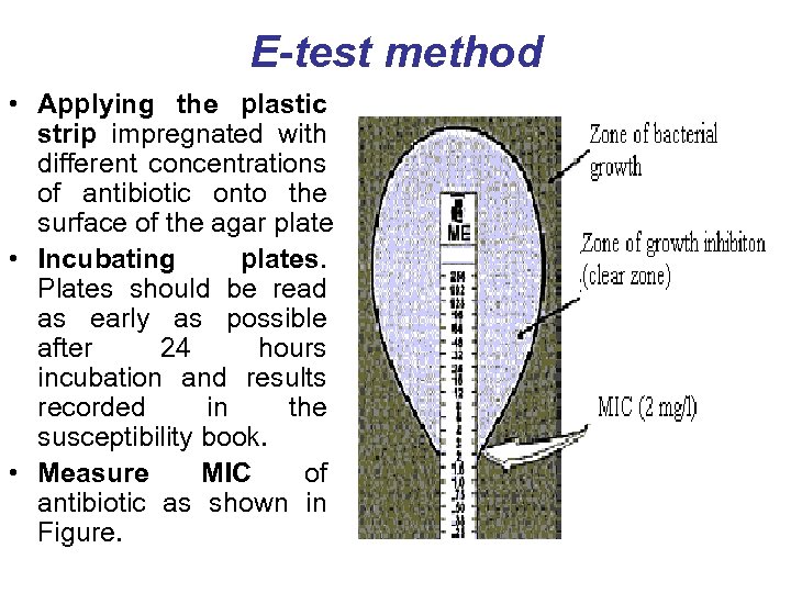 E-test method • Applying the plastic strip impregnated with different concentrations of antibiotic onto