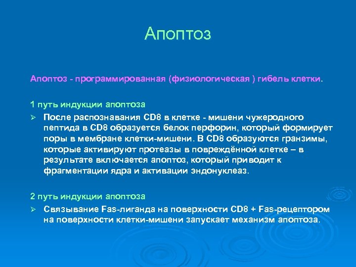 Апоптоз - программированная (физиологическая ) гибель клетки. 1 путь индукции апоптоза Ø После распознавания