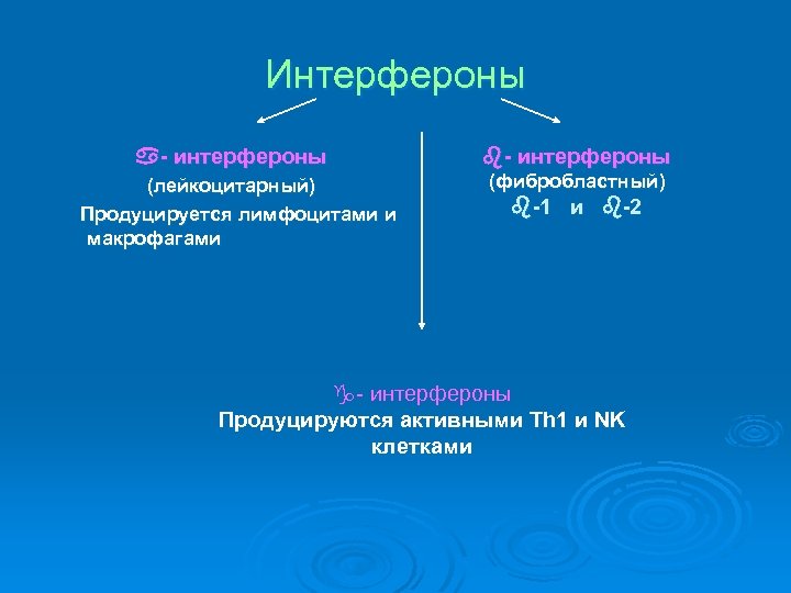 Интерфероны a- интерфероны (лейкоцитарный) Продуцируется лимфоцитами и макрофагами b- интерфероны (фибробластный) b-1 и b-2