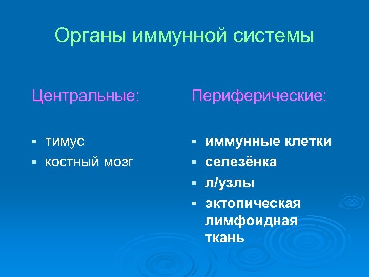 Органы иммунной системы Центральные: Периферические: тимус § костный мозг § § иммунные клетки §