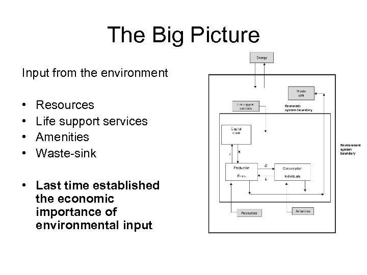 The Big Picture Input from the environment • • Resources Life support services Amenities