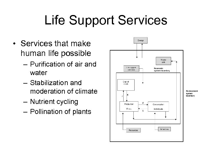 Life Support Services • Services that make human life possible – Purification of air