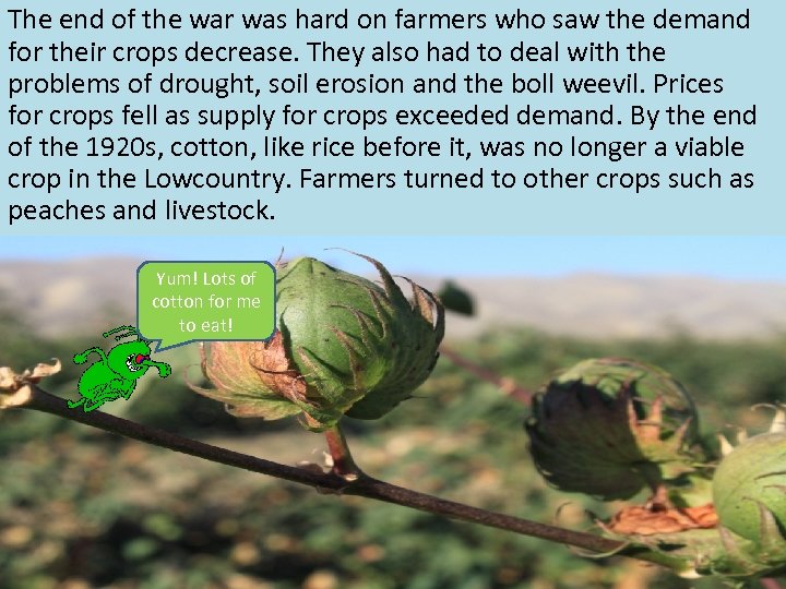 The end of the war was hard on farmers who saw the demand for