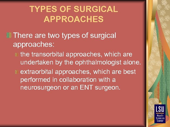 TYPES OF SURGICAL APPROACHES There are two types of surgical approaches: the transorbital approaches,