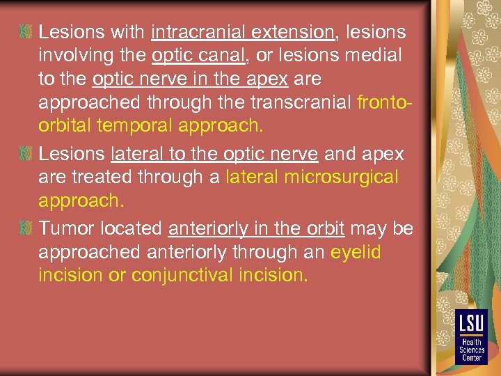 Lesions with intracranial extension, lesions involving the optic canal, or lesions medial to the