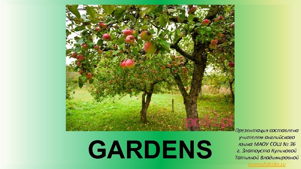 GARDENS Презентация составлена учителем английского языка МАОУ СОШ № 36 г. Златоуста Куликовой Татьяной