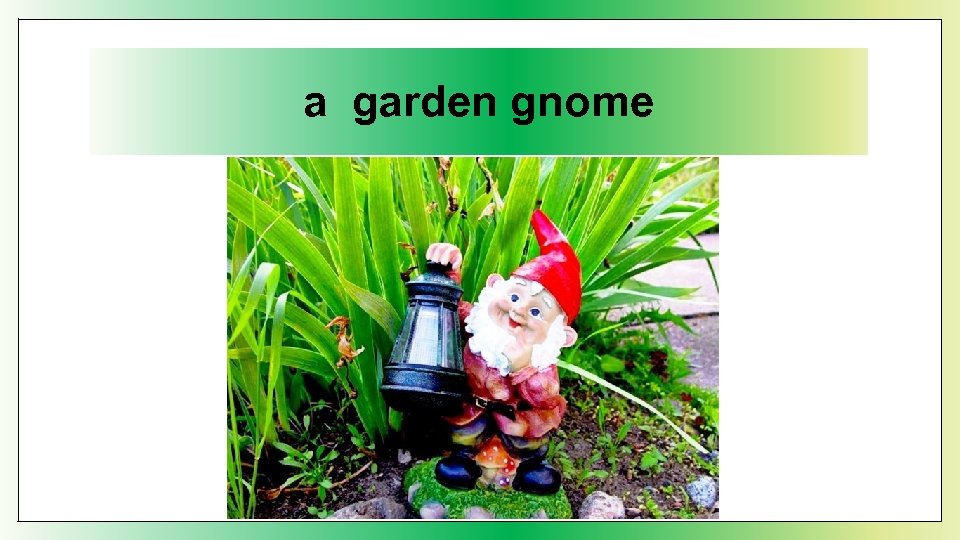 a garden gnome 