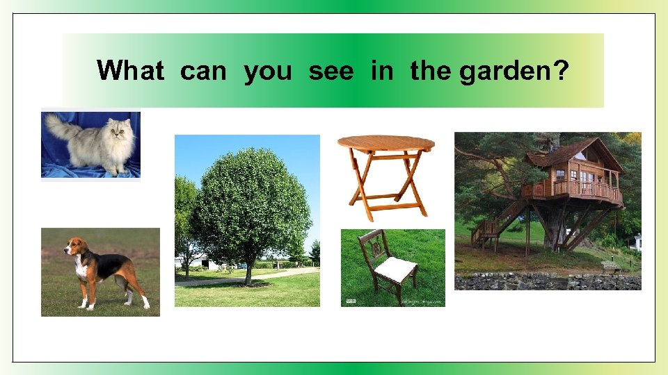 What can you see in the garden? 