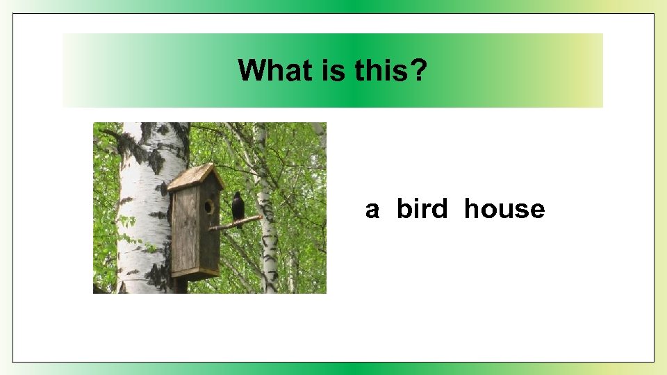 What is this? a bird house 