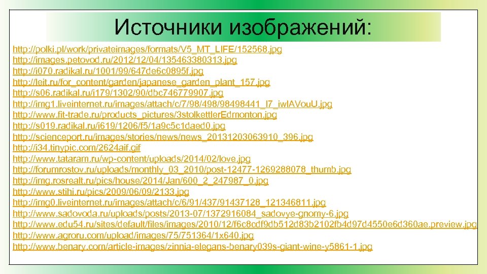 Источники изображений: http: //polki. pl/work/privateimages/formats/V 5_MT_LIFE/152568. jpg http: //images. petovod. ru/2012/12/04/135463380313. jpg http: //i