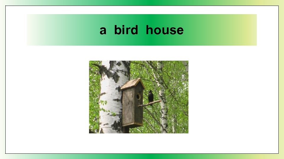 a bird house 