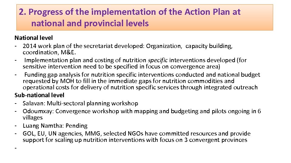 2. Progress of the implementation of the Action Plan at national and provincial levels