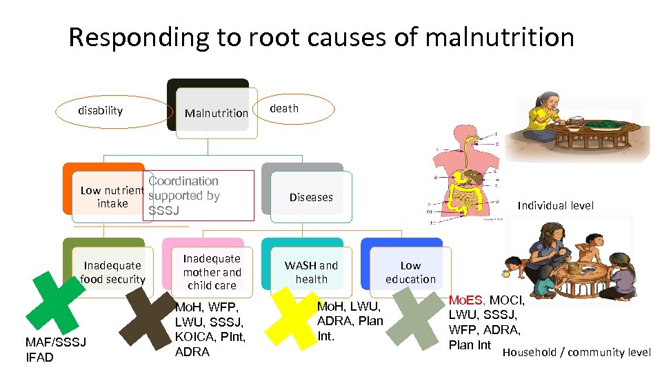 Responding to root causes of malnutrition disability Malnutrition Coordination Low nutrient supported by intake