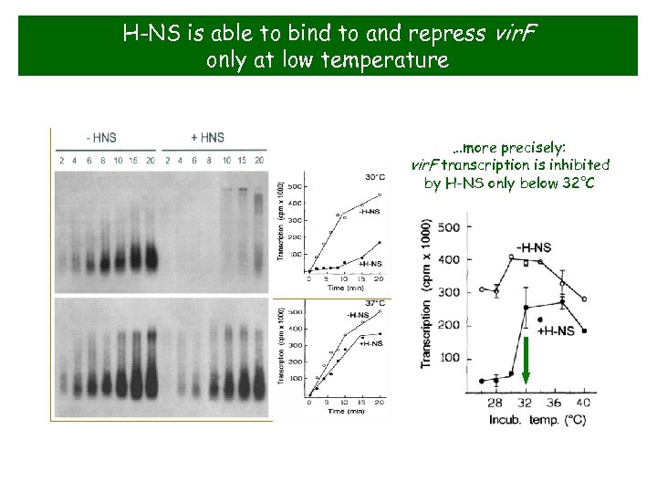 H-NS is able to bind to and repress vir. F only at low temperature