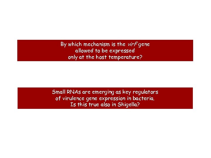 By which mechanism is the vir. F gene allowed to be expressed only at