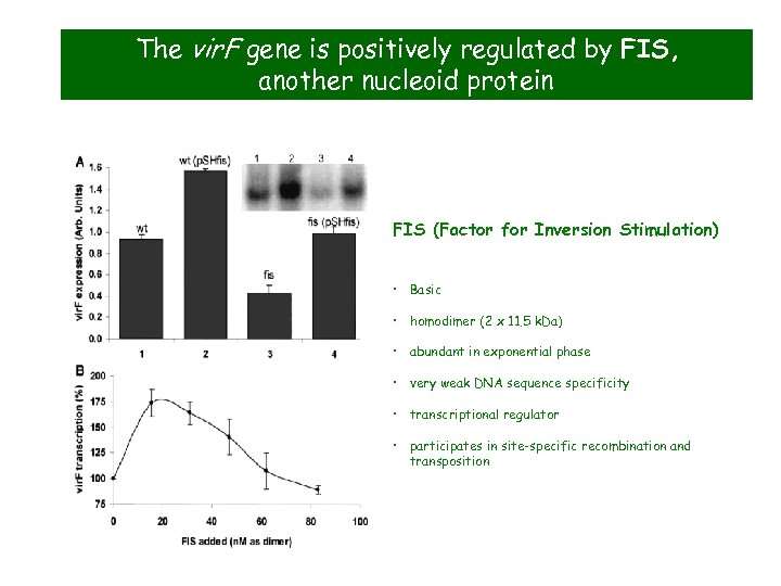 The vir. F gene is positively regulated by FIS, another nucleoid protein FIS (Factor