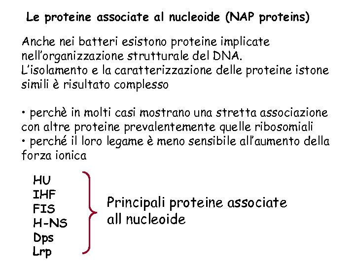 Le proteine associate al nucleoide (NAP proteins) Anche nei batteri esistono proteine implicate nell’organizzazione