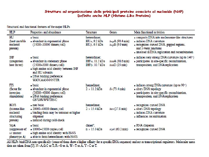 Struttura ed organizzazione delle prinicipali proteine associate al nucleoide (NAP) Definite anche HLP (Histone-Like