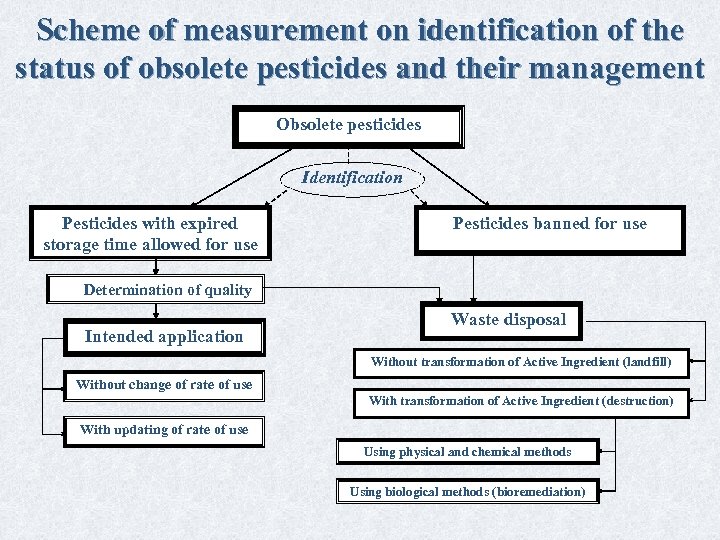 Scheme of measurement on identification of the status of obsolete pesticides and their management