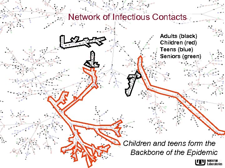 Network of Infectious Contacts Adults (black) Children (red) Teens (blue) Seniors (green) Children and