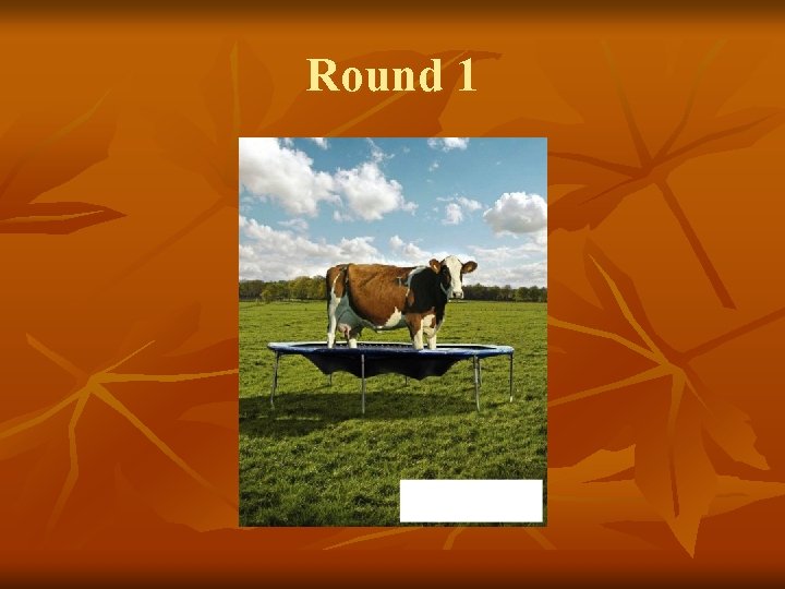 Round 1 
