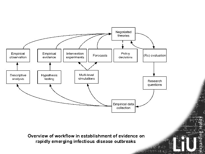 Overview of workflow in establishment of evidence on rapidly emerging infectious disease outbreaks 