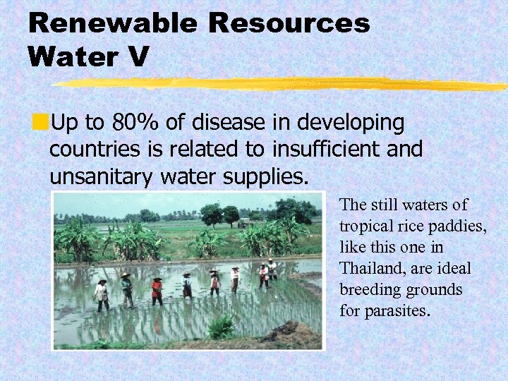 Renewable Resources Water V ¢Up to 80% of disease in developing countries is related