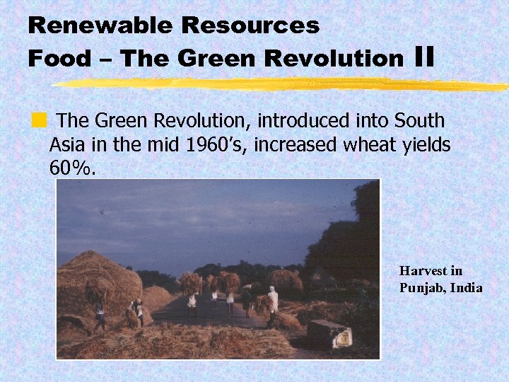 Renewable Resources Food – The Green Revolution II ¢ The Green Revolution, introduced into