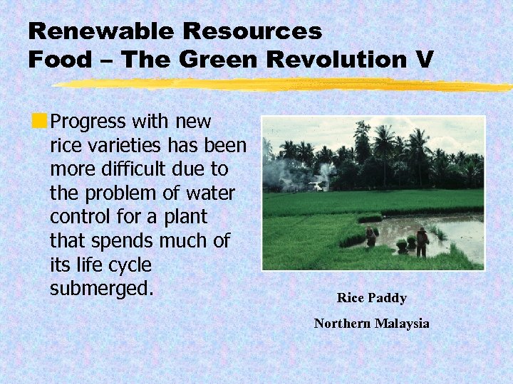 Renewable Resources Food – The Green Revolution V ¢ Progress with new rice varieties
