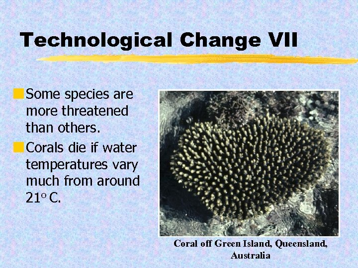 Technological Change VII ¢ Some species are more threatened than others. ¢ Corals die