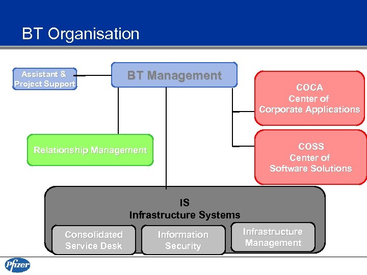 BT Organisation Assistant & Project Support BT Management COCA Center of Corporate Applications COSS