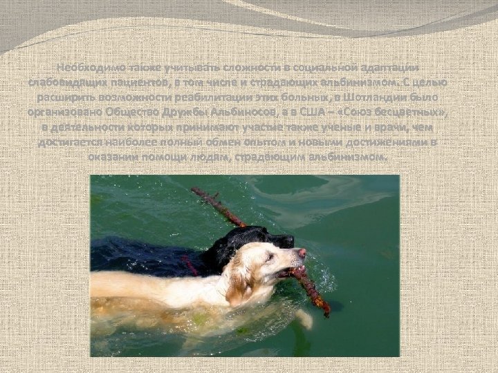 Необходимо также учитывать сложности в социальной адаптации слабовидящих пациентов, в том числе и страдающих