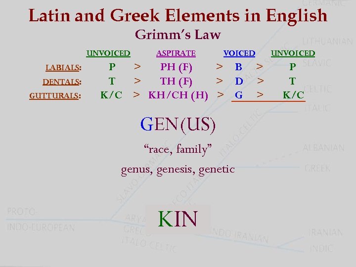 Latin and Greek Elements in English Grimm’s Law UNVOICED LABIALS: DENTALS: GUTTURALS: ASPIRATE VOICED