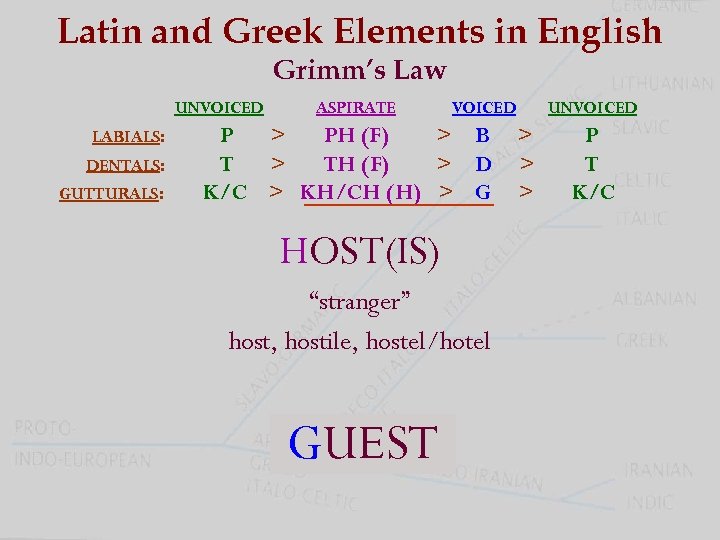 Latin and Greek Elements in English Grimm’s Law UNVOICED LABIALS: DENTALS: GUTTURALS: ASPIRATE VOICED
