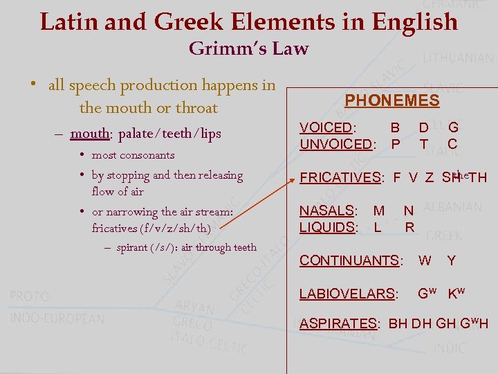 Latin and Greek Elements in English Grimm’s Law • all speech production happens in