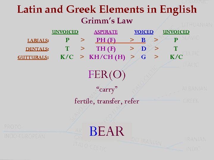 Latin and Greek Elements in English Grimm’s Law UNVOICED LABIALS: DENTALS: GUTTURALS: ASPIRATE VOICED