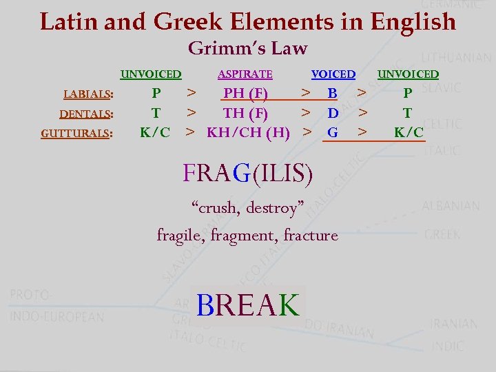 Latin and Greek Elements in English Grimm’s Law UNVOICED LABIALS: DENTALS: GUTTURALS: ASPIRATE VOICED