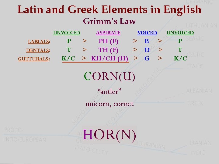 Latin And Greek Elements In English Grimm S Law