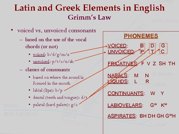 Latin and Greek Elements in English Grimm’s Law • voiced vs. unvoiced consonants –