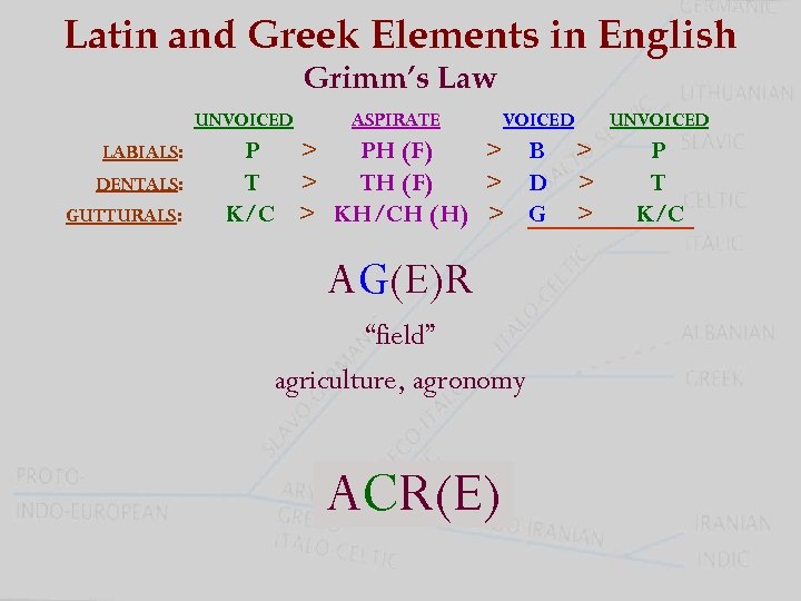Latin and Greek Elements in English Grimm’s Law UNVOICED LABIALS: DENTALS: GUTTURALS: ASPIRATE VOICED