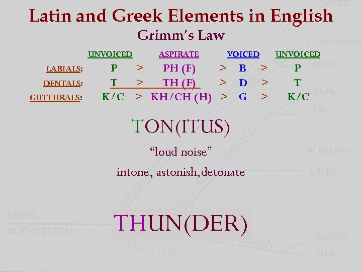 Latin and Greek Elements in English Grimm’s Law UNVOICED LABIALS: DENTALS: GUTTURALS: ASPIRATE VOICED